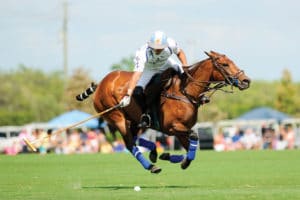 Palm Beach Polo 2018