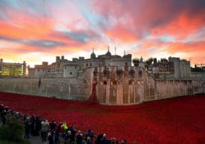 remembrance sunday